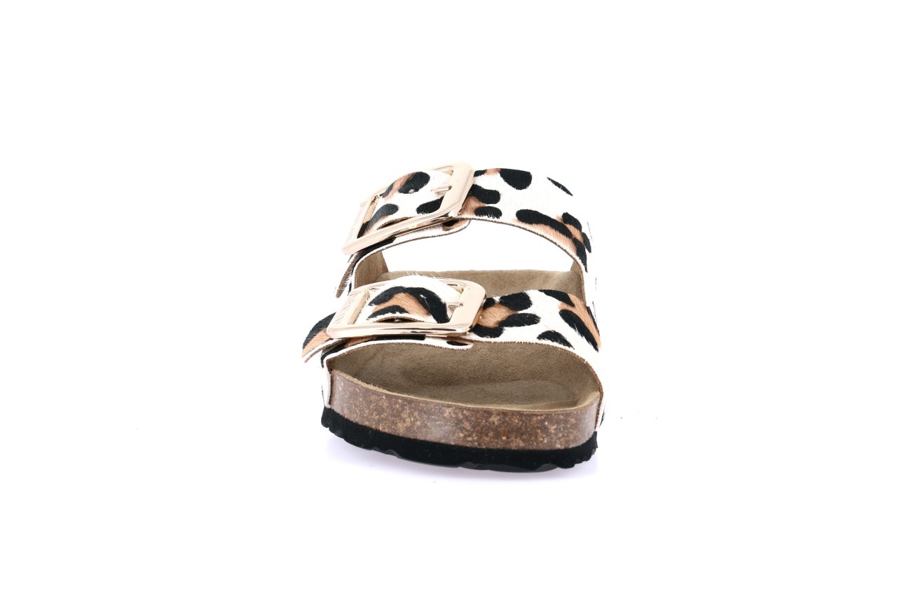 ENNY CB0784 BEIGE - Image 2
