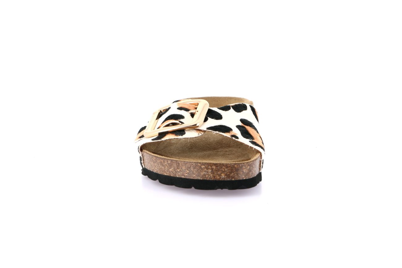 ENNY CB0835 BEIGE - Image 2
