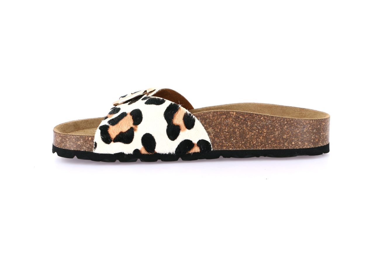 ENNY CB0835 BEIGE - Image 3