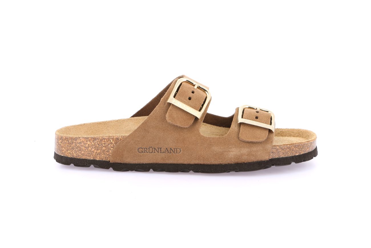SARA CB2631 TORTORA