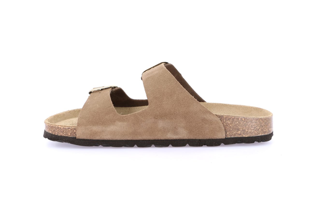 SARA CB2631 TORTORA - Image 3