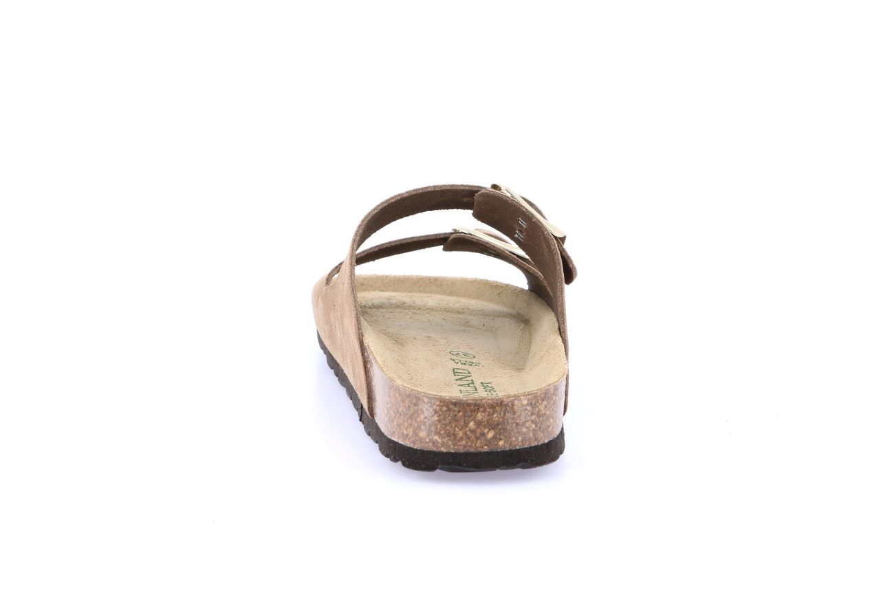 SARA CB2631 TORTORA - Image 4